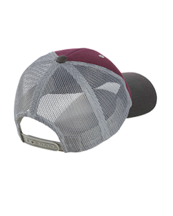 Snap Back